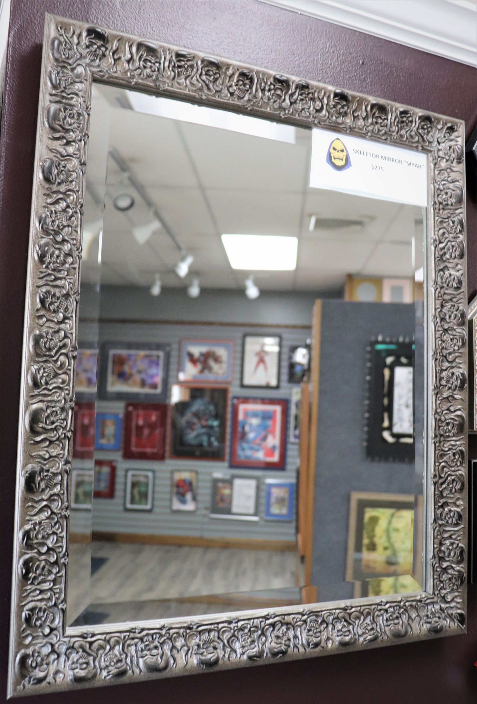18 7/8" x 22 3/4" Rectangular Silver Skeletor Inspired Mirror