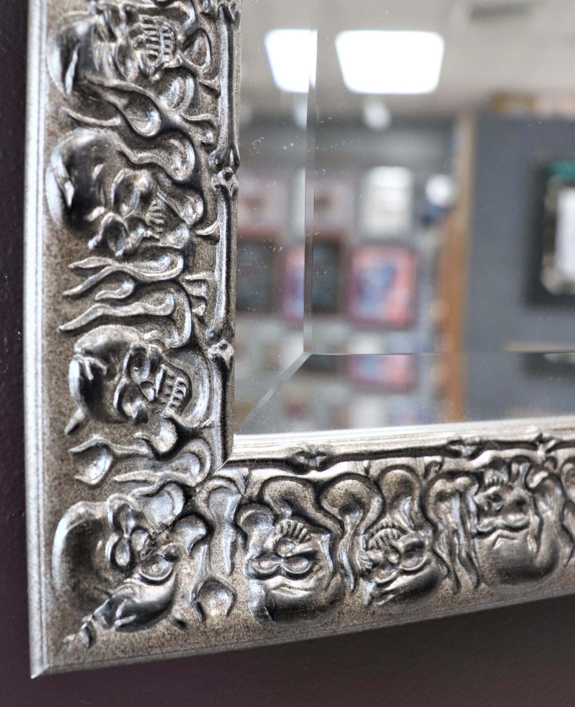 18 7/8" x 22 3/4" Rectangular Silver Skeletor Inspired Mirror